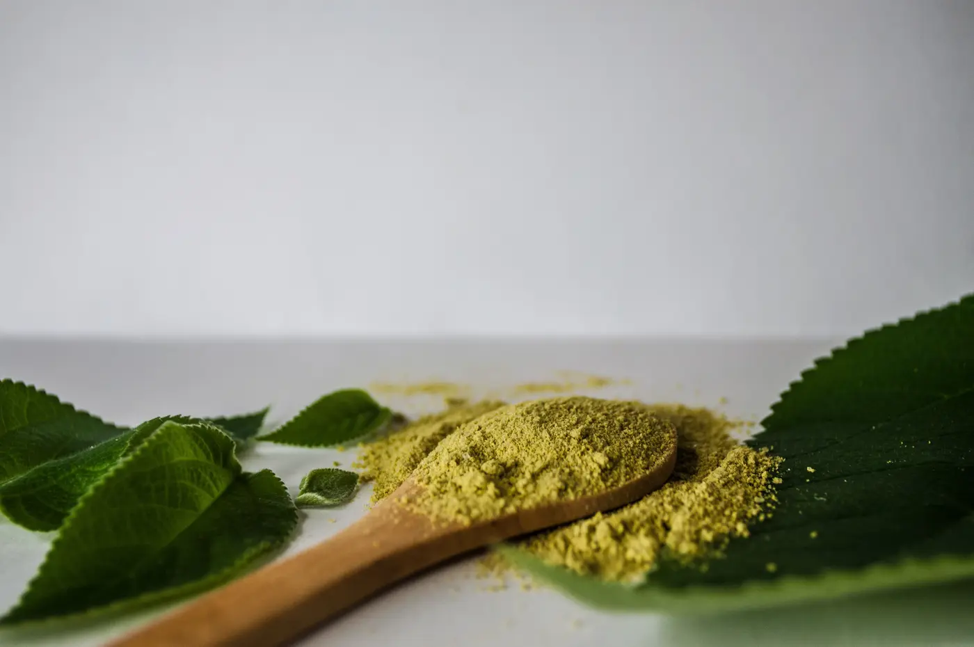 Polvere vegetale verde su un cucchiaio di legno, accanto a foglie fresche.
